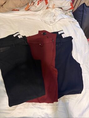 Calvin Klein Skinny Ponte Pants Trio - Black, Burgundy, Navy
